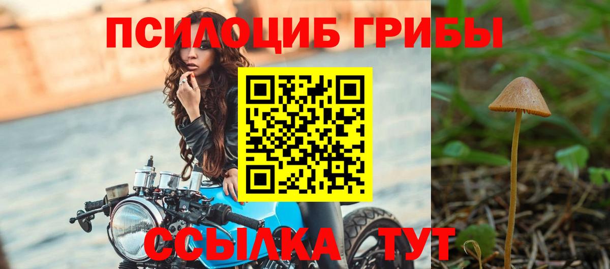 Семилуки  Псилоцибиновые грибы Psilocybe  Вход с VPN 