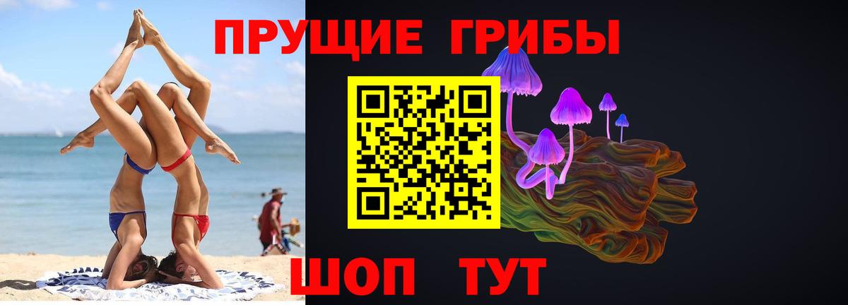 Галлюциногенные грибы Psilocybe Семилуки